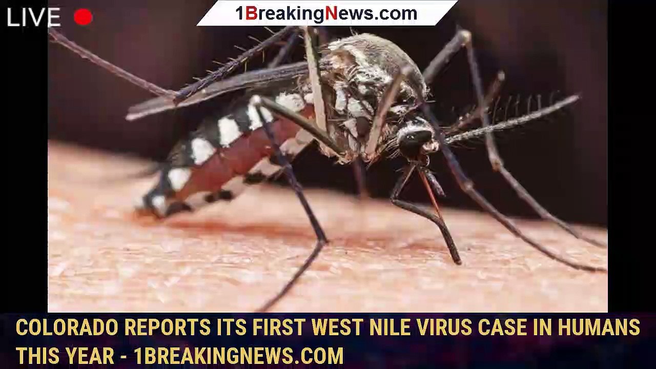 Colorado reports its first West Nile virus case in humans this year