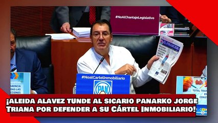 ¡VEAN! ¡Aleida Alavez humilla al sicario panarko Jorge Triana por defender a su cártel inmobiliario!