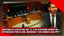 ¡VEAN! ¡Máynez el gato del Sr. X. y el cacique Dante es triturado por el Dr. Noroña y su compañero!