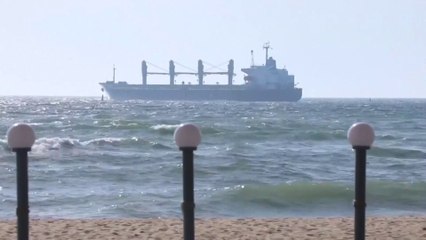 المفوضية الأوروبية تدرس طرقا جديدة لتصدير الحبوب الأوكرانية.. ما هي؟