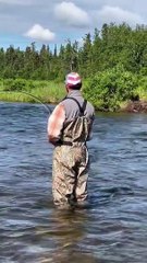 Les pêcheurs attirent l'attention des ours