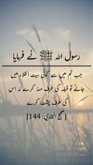 Daily hadees | rozana hadees | sahih bukhari 144 | Quran aur hadees || Daily Blink #shorts