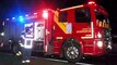 Bombeiros combatem incêndio em caminhão na BR-277 em Cascavel