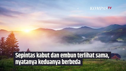 Cuaca Dingin Sering Muncul Kabut, Apa Bedanya dengan Embun?| SINAU