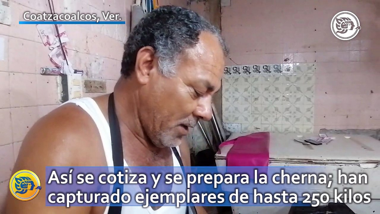 Así se cotiza y se prepara la cherna en Coatzacoalcos; han capturado ejemplares de hasta 250 kilos