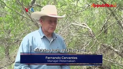 Patroli Perbatasan AS mencatat sedikitnya 8 ribu migran meninggal dunia ketika mencoba masuk ke AS.