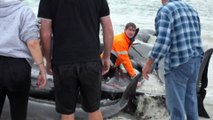 More than 90 pilot whales stranded on WA’s Cheynes beach