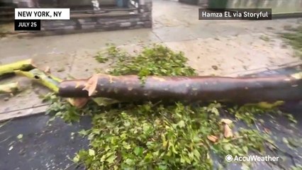 Télécharger la video: Thunderstorms rumble across the Northeast