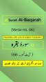 Surah Al-Baqarah Ayah/Verse/Ayat 66 Recitation (Arabic) with English and Urdu Translations