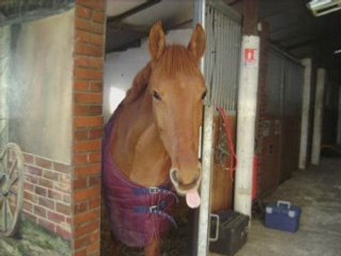 Libella je 'aime [ montage a regarder svp ]