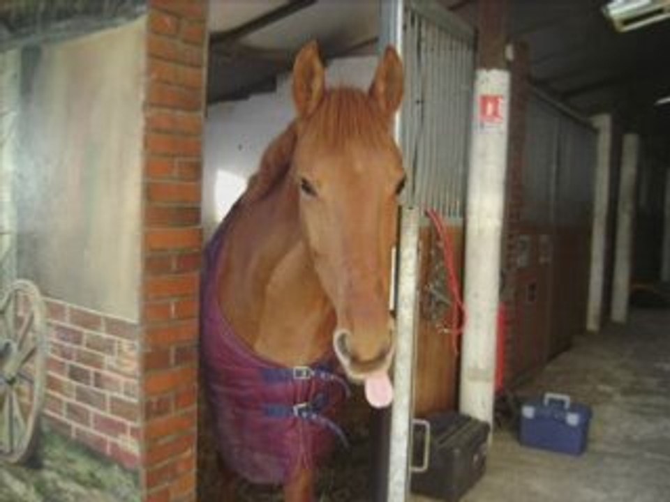 Libella je 'aime  [ montage a regarder svp ]