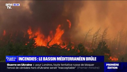 Sicile, Algérie, Tunisie, Grèce... Le bassin méditerranéen brûle