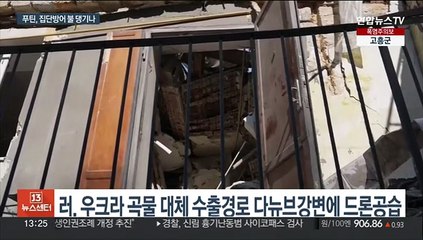 러시아, 루마니아 턱밑 지역 공습…나토와 직접충돌 우려