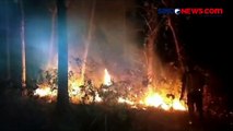 Diduga Sengaja Dibakar, Hutan Jati Seluas 5 Hektare Hangus Terbakar