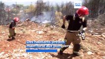 Algérie, Grèce, Italie, France : de nombreux incendies ravagent le pourtour méditerranéen