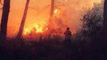 Feu de forêt à Falicon: plus de 100 sapeurs-pompiers mobilisés