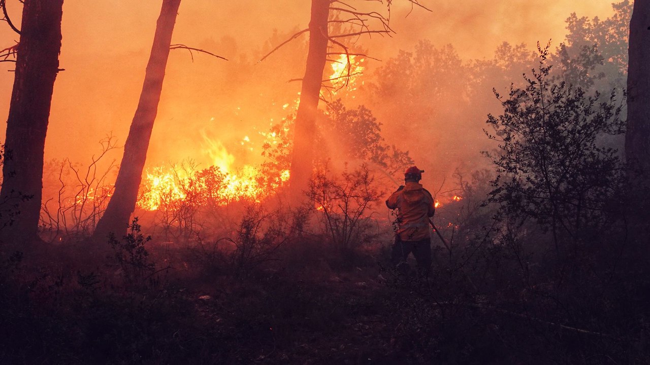 Feu de forêt à Falicon: plus de 100 sapeurs-pompiers mobilisés