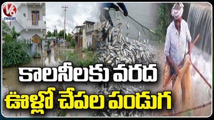 IMD Hyderabad Issues Red Alert For Telangana | More Than 100 Colonies Submerged In Water | V6 News