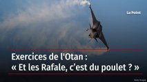 Exercices de l'Otan : « Et les Rafale, c’est du poulet ? »
