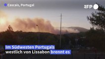 Brand in Portugal nahe Lissabon - Menschen in Sicherheit gebracht