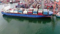 Mersin Limanı'nda Muz Yüklü Konteynerde 11 Kilogram Kokain Ele Geçirildi