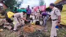 ग्राम गौंझी में दबिश देकर 150 किलो महुआ लाहन कराया नष्ट