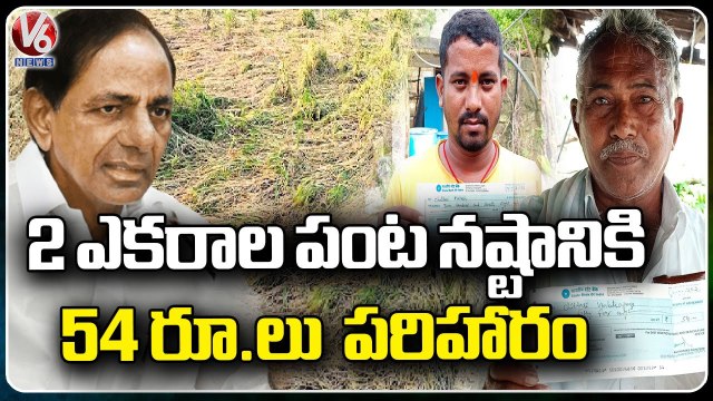Rs.54 Credited As Crop Damage Compensation For Two Acres In Jayashankar Bhupalpally | V6 News