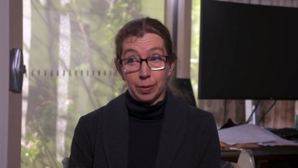 $557 million claimed ATO identity security check