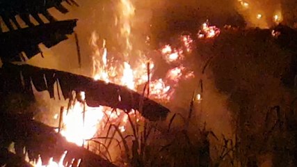 Grande incêndio em vegetação é registrado no bairro Santa Cruz