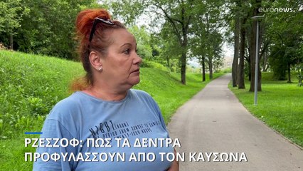 Ρζεσζόφ: Πώς τα δέντρα προφυλάσσουν από τον καύσωνα