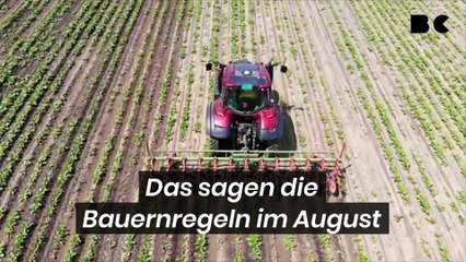 Das sagen die Bauernregeln im August