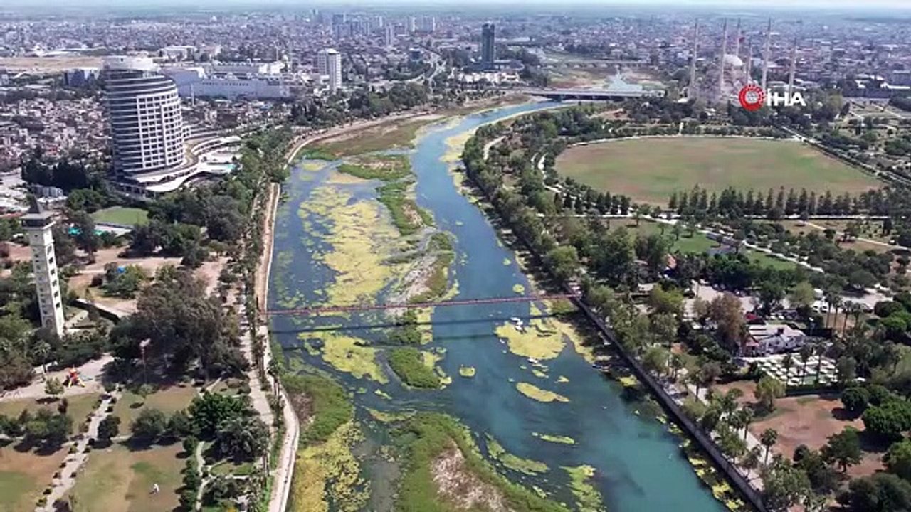 Seyhan Nehri can çekişiyor: Yosunlar nehri istila etti, otlar insan boyuna yaklaştı