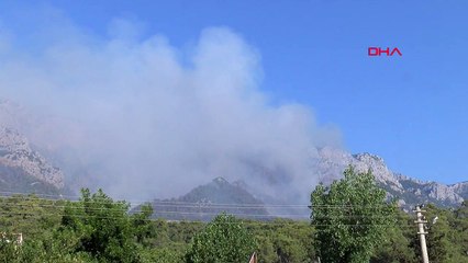 La réponse aérienne aux incendies de forêt à Kemer se poursuit