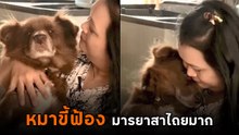 หมาขี้ฟ้อง เล่นกันอยู่ดี ๆ น้องวิ่งไปฟ้องแม่ว่าถูกแกล้งเฉย