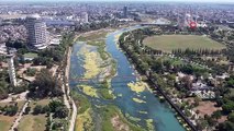 La rivière Seyhan est en train de mourir：Les algues ont envahi la rivière, l'herbe s'est approchée de la hauteur humaine