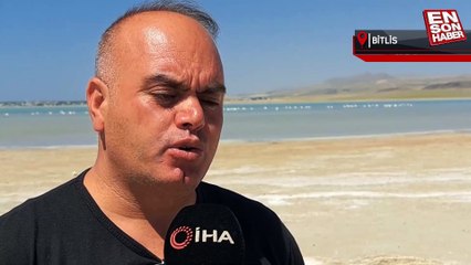 Arin Gölü’nün renkli misafirleri flamingolar