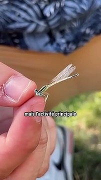 Que font deux profs de Physique Chimie en vacances ? Cela va résonner comme une évidence quand tu auras vu la réponse #vacances #prof ️ En attendant dis le nous en com.