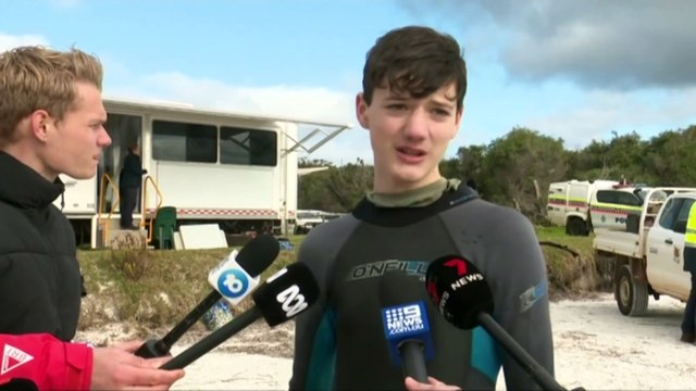 Rescuers race to save whales stranded on Western Australia beach