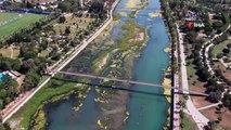 La rivière Seyhan est en train de mourir：Les algues ont envahi la rivière, l'herbe s'est approchée de la hauteur humaine