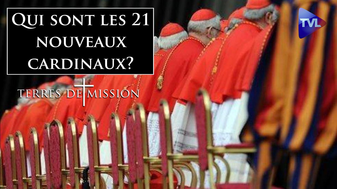 Terres de Mission n°324 - Qui sont les 21 nouveaux cardinaux ?