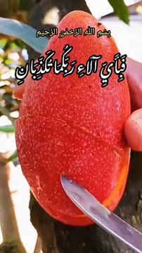 Most beautiful recitation of Quran Sharif @shorts @quran @tilawat