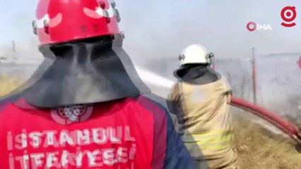 Sultangazi'de otluk alanda yangın paniği