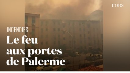 Palerme, en Sicile, encerclée par les incendies