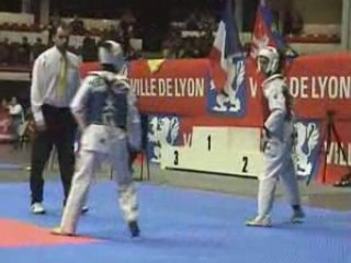 DRAGONS TEAM AU FRANCE SENIOR 2008