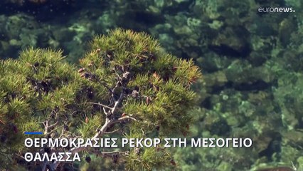 Θερμοκρασίες ρεκόρ στη Μεσόγειο Θάλασσα