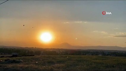 Le verger sur les flancs du mont Ararat devient le centre d'attention