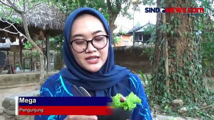 Télécharger la video: Kuliner Warung Tempo Dulu di Bali Sajikan Nasi Ayam Suwir di Batok Kelapa