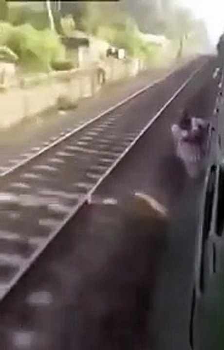 India, man hanging out of the train don't finish well