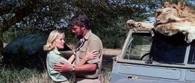 Born Free 1966 English Films