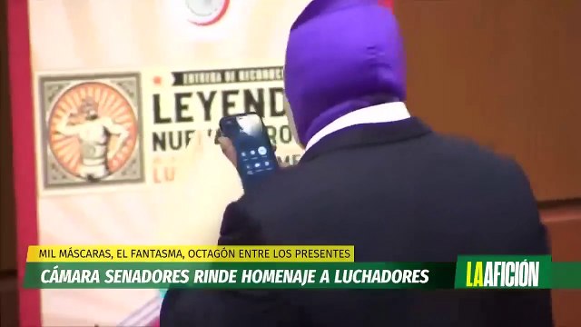 Cámara de senadores rinde homenaje a luchadores